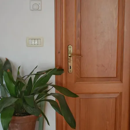 Apartma Raft, Appartement *