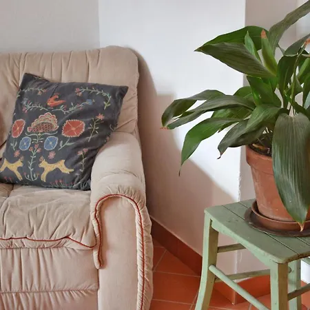 Apartma Raft, Daire *